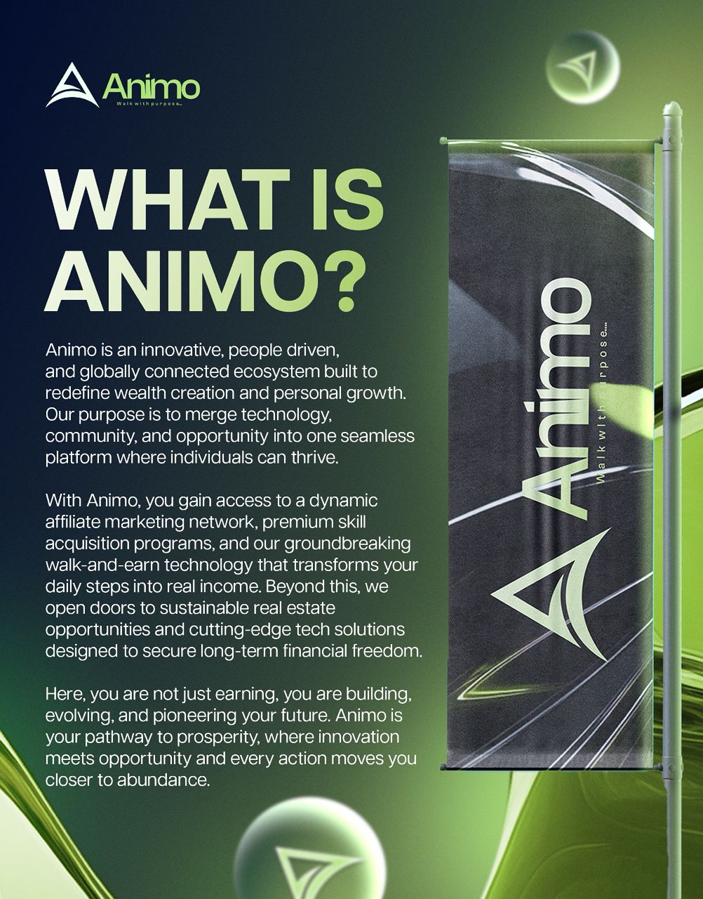 About Animo